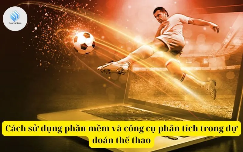 Cách sử dụng phần mềm và công cụ phân tích trong dự đoán thể thao