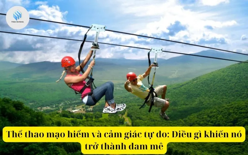 Thể thao mạo hiểm và cảm giác tự do Điều gì khiến nó trở thành đam mê